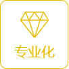 專(zhuān)業(yè)化